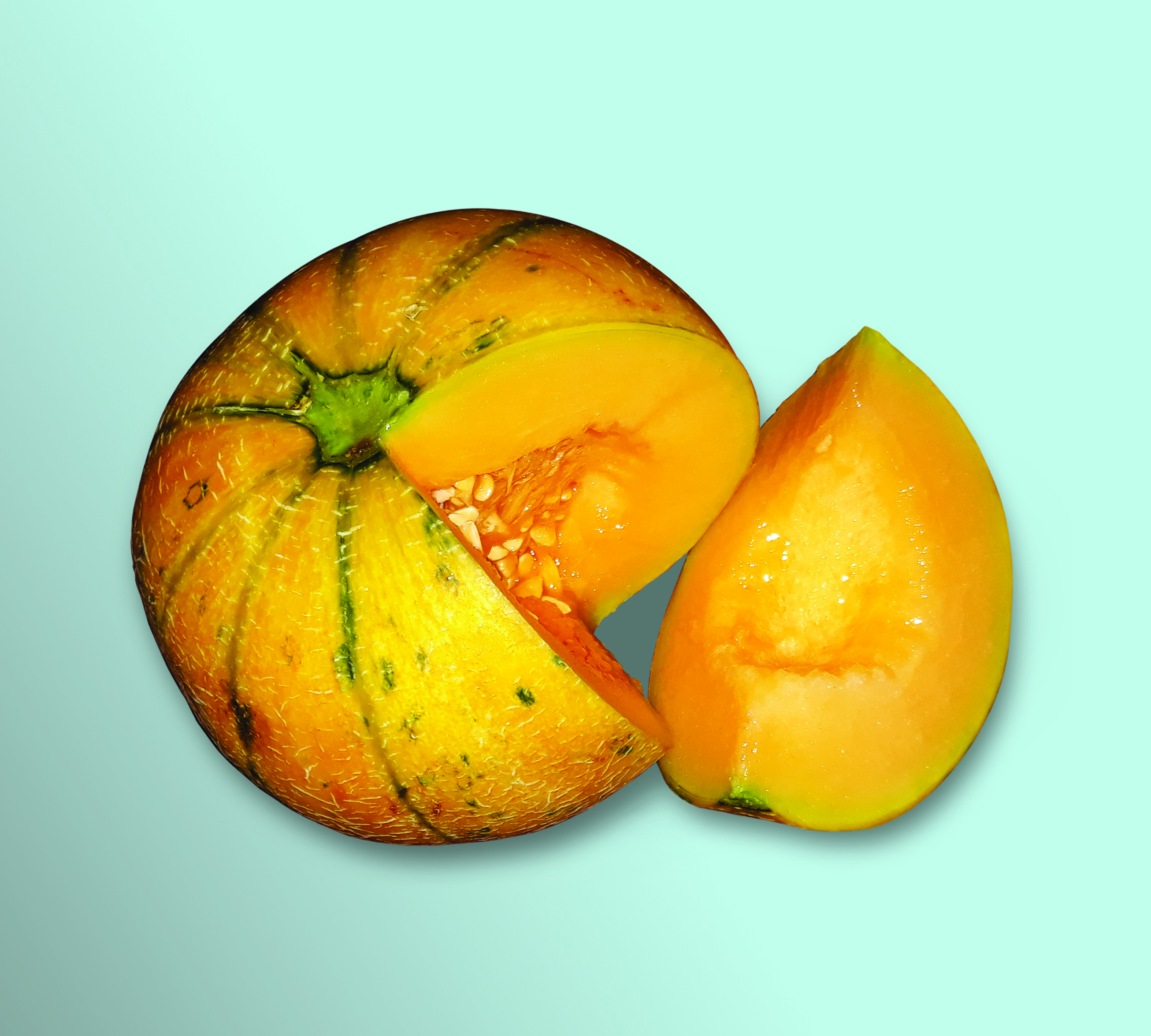 Musk melon