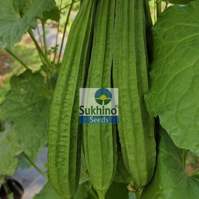 filter: 0; fileterIntensity: 0.0; filterMask: 0; brp_mask:0;
brp_del_th:null;
brp_del_sen:null;
module: photo;hw-remosaic: false;touch: (-1.0, -1.0);sceneMode: 8;cct_value: 0;AI_Scene: (-1, -1);aec_lux: 0.0;aec_lux_index: 0;albedo:  ;confidence:  ;motionLevel: -1;weatherinfo: null;temperature: 43;