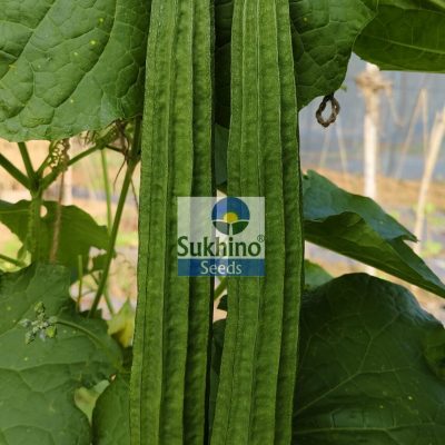 filter: 0; fileterIntensity: 0.0; filterMask: 0; brp_mask:0;
brp_del_th:null;
brp_del_sen:null;
module: photo;hw-remosaic: false;touch: (-1.0, -1.0);sceneMode: 8;cct_value: 0;AI_Scene: (-1, -1);aec_lux: 0.0;aec_lux_index: 0;albedo:  ;confidence:  ;motionLevel: -1;weatherinfo: null;temperature: 45;